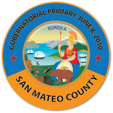 June 8, 2010 Election Pin