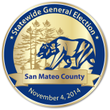 November 4, 2014 Election Pin